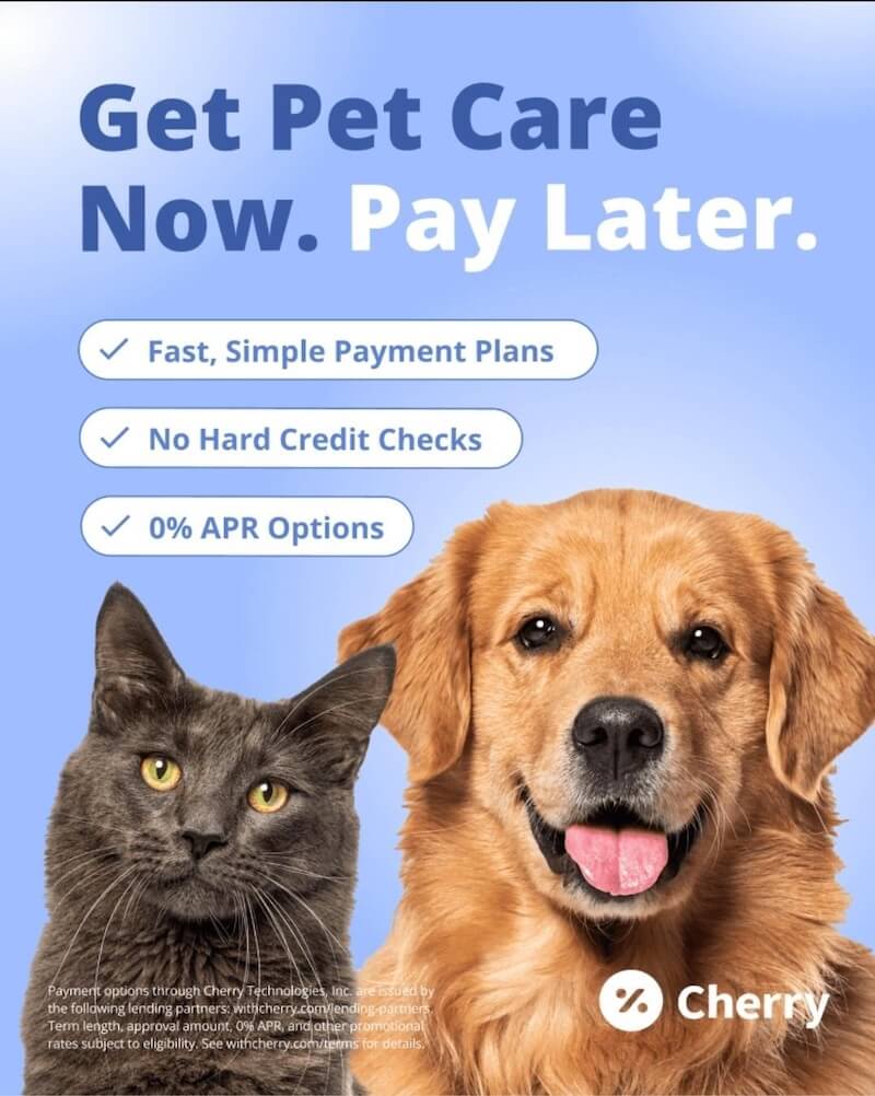 Cherry Payment Plans Apply Now Cherry Payment Plans Apply Now