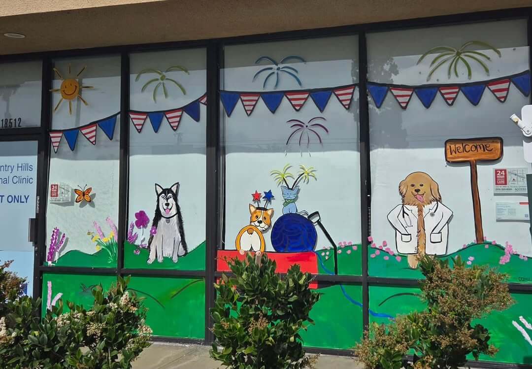 Full Services Practice Full Services Practice